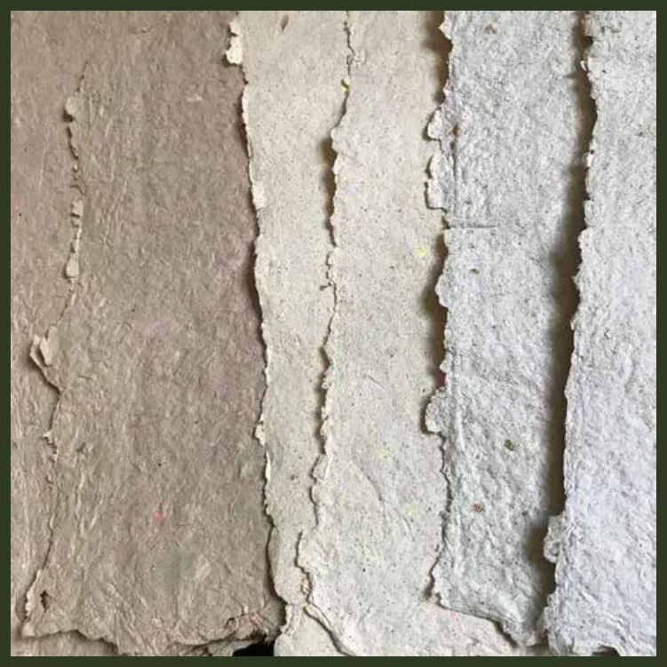 Textura de papel semente